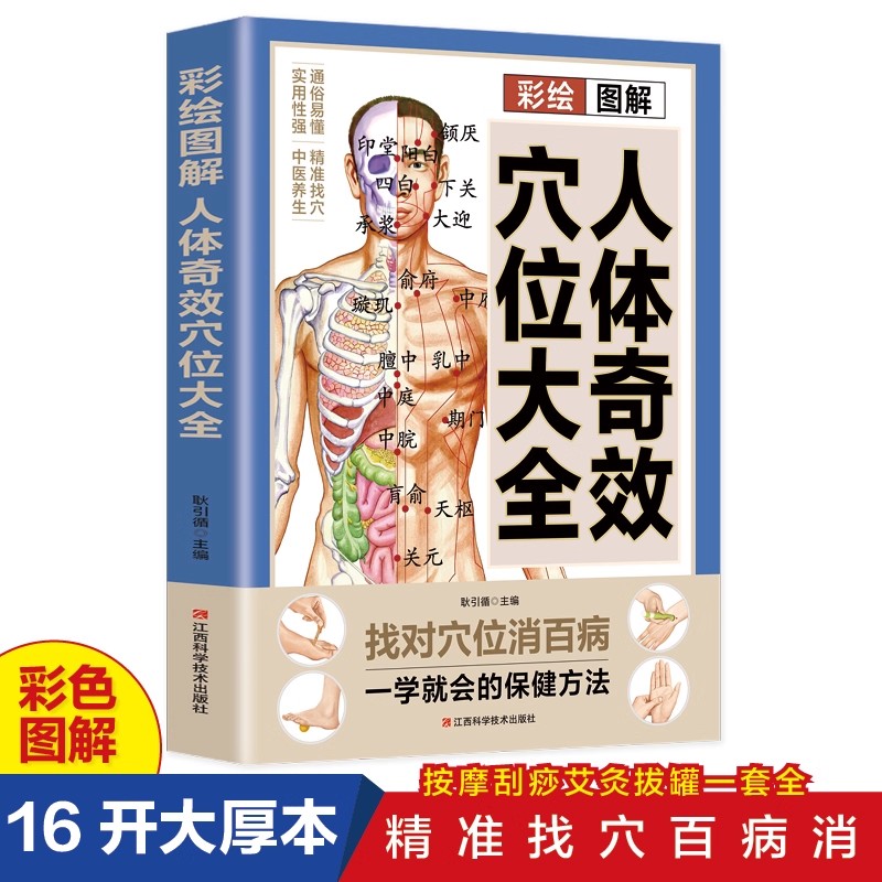 Health & Wellness Resources - 경혈 마사지 및 TCM 건강 보존