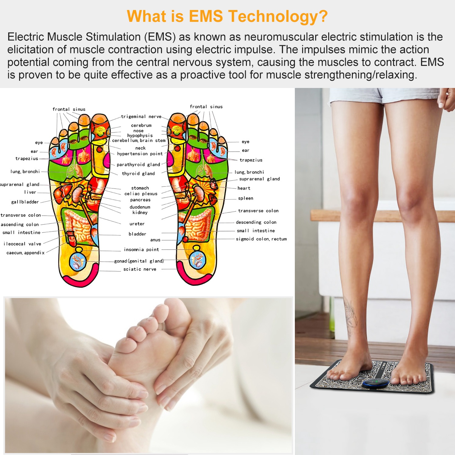발 마사지 기계, 발 마사지기, 마사지 매트 - EMS - Ems Foot Massager 리뷰 및 가격